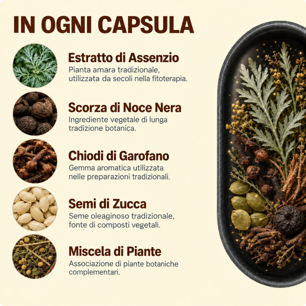 Complesso botanico 18 in 1 — Artemisia, noce nera e chiodi di garofano — Benfiora — Immagine 3