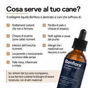 Collagene liquido premium per cani — Benfiora — Immagine 7