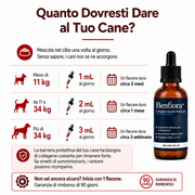 Collagene liquido premium per cani — Benfiora — Immagine 8
