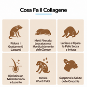 Collagene liquido premium per cani — Benfiora — Immagine 9